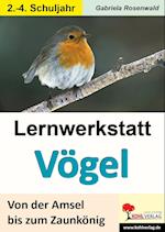 Lernwerkstatt Vögel Von der Amsel bis zum Zaunkönig