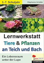 Tiere & Pflanzen an Teich und Bach