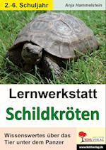 Lernwerkstatt Schildkröten