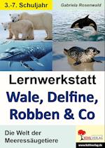 Lernwerkstatt Wale, Delfine, Robben & Co. Die Welt der Meeressäugetiere