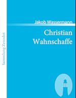 Christian Wahnschaffe