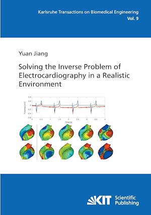 Solving the inverse problem of electrocardiography in a realistic environment