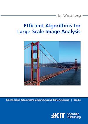 Efficient Algorithms for Large-Scale Image Analysis