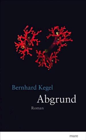 Abgrund