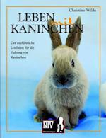 Leben mit Kaninchen