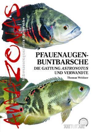 Pfauenaugen-Buntbarsche