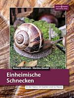 Einheimische Schnecken