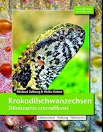 Krokodilschwanzechse