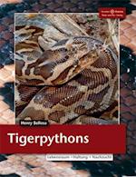 Tigerpython