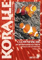 Clownfische