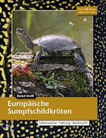 Europäische Sumpfschildkröten