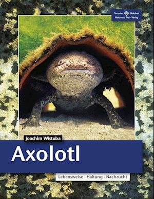 Axolotl