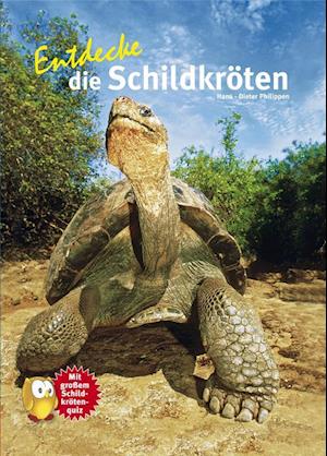 Entdecke die Schildkröten