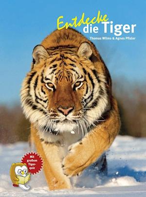 Entdecke die Tiger