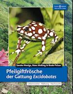 Pfeilgiftfrösche der Gattung Excidobates