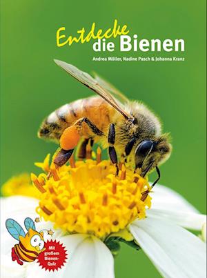 Entdecke die Bienen