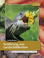 Ernährung von Landschildkröten