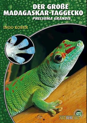 Der Große Madagaskar-Taggecko