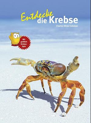 Entdecke die Krebse