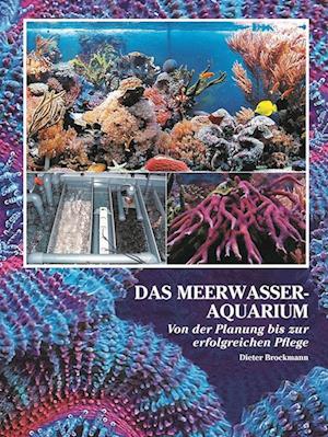 Das Meerwasseraquarium