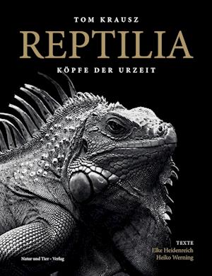 REPTILIA