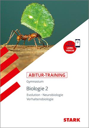 Abitur-Training Biologie 2