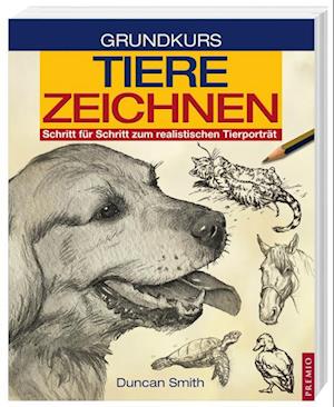 Grundkurs Tiere Zeichnen