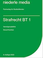 Karteikarten Strafrecht BT 1