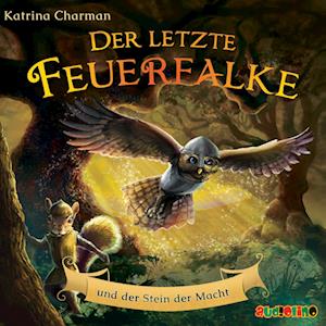 Der letzte Feuerfalke und der Stein der Macht