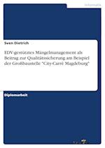 Edv-Gestütztes Mängelmanagement ALS Beitrag Zur Qualitätssicherung Am Beispiel Der Großbaustelle City-Carrè Magdeburg