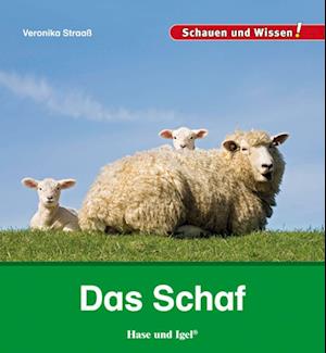 Das Schaf