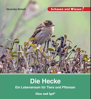 Die Hecke