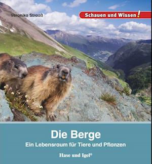 Die Berge