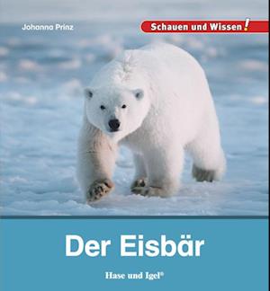 Der Eisbär