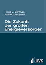 Die Zukunft der großen Energieversorger