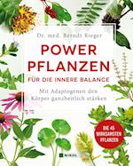 Powerpflanzen für die innere Balance