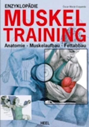 Enzyklopädie Muskeltraining