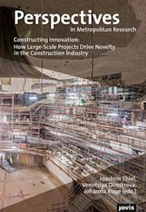 Constructing Innovation: How Large-Scale Projects Drive Novelty in the Construction Industry