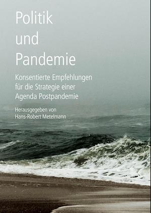 Politik und Pandemie