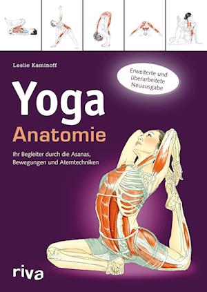 Yoga-Anatomie