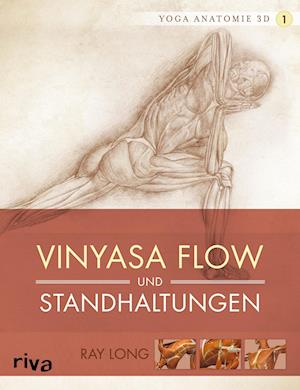 Yoga-Anatomie 3D. Vinyasa Flow und Standhaltungen
