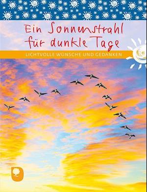 Ein Sonnenstrahl für dunkle Tage