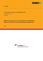 What is the main role of international institutions? Political, financial and humanitarian perspectives
