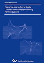 Numerical Approaches to Spatial Correlations in Strongly Interacting Fermion Systems