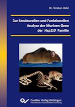 Zur Strukturellen und Funktionellen Analyse der Murinen Gene der Hsp110 Familie