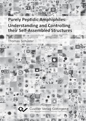 Purely Peptidic Amphiphiles: Understanding and Controlling their Self-Assembled Structures