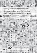 Purely Peptidic Amphiphiles: Understanding and Controlling their Self-Assembled Structures