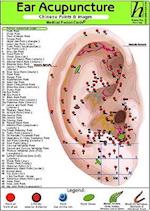 Ear Acupuncture