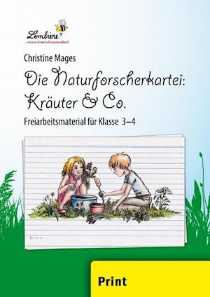 Die Naturforscher-Kartei: Kräuter & Co.
