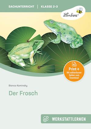 Der Frosch. Grundschule, Sachunterricht, Klasse 2-3